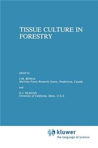 Tissue Culture in Forestry