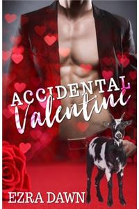 Accidental Valentine