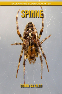 Spinne