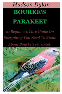 Bourke's Parakeet