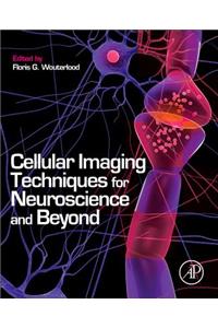 Cellular Imaging Techniques for Neuroscience and Beyond