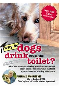 Why Do Dogs Drink Out of the Toilet?