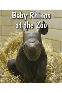 Baby Rhinos at the Zoo