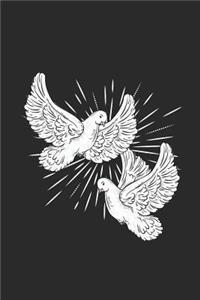 Pigeon Pair