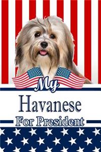 My Havanese for President