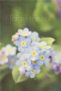 Forget Me Not