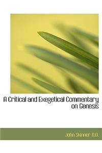 Critical and Exegetical Commentary on Genesis