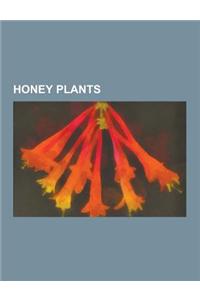 Honey Plants: Almond, Sunflower, Clover, Thyme, Buckwheat, Melissa Officinalis, Sisal, Japanese Knotweed, Eucalyptus Marginata, Lept