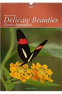 Delicate Beauties Exotic Butterflies 2017