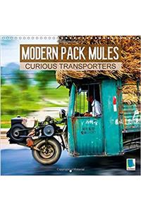 Modern Pack Mules: Curious Transporters 2018