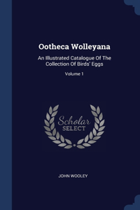 Ootheca Wolleyana