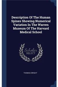 Description Of The Human Spines Showing Numerical Variation In The Warren Museum Of The Harvard Medical School