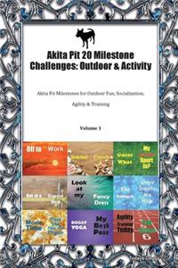 Akita Pit 20 Milestone Challenges