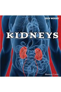 Kidneys