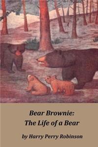 Bear Brownie