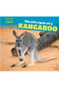 The Life Cycle of a Kangaroo