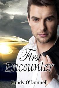 First Encounter: A Lady's Series Book I