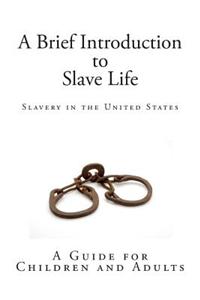 A Brief Introduction to Slave Life