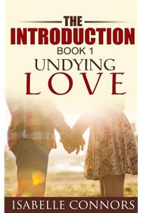 Introduction (Undying Love#1)