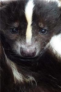 The Skunk Journal