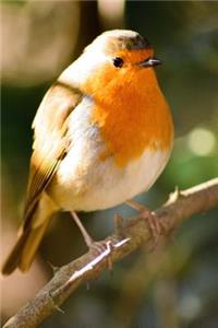 Wisconsin State Bird - American Robin Journal