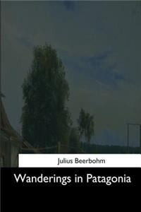 Wanderings in Patagonia