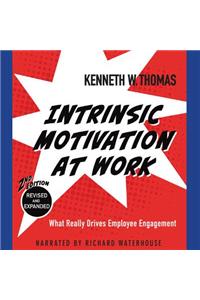 Intrinsic Motivation at Work: What Really Drives Employee Engagement