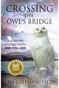 Crossing the Owl's Bridge