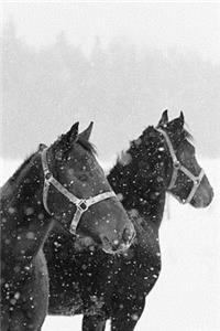 2020 Daily Planner Horse Photo Equine Horses Snowfall 388 Pages