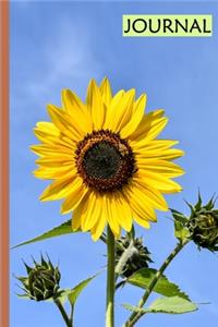 Journal