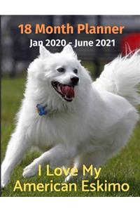 Jan 2020 - June 2021 18 Month Planner