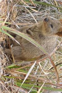 Cute Little Quokka Peek a Boo Journal