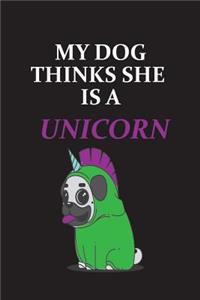 My Dog Thinks She is a Unicorn