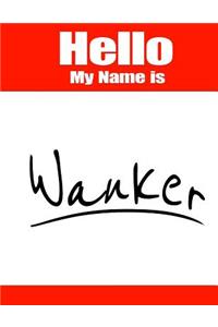 Hello My Name Is Wanker: Funny Phrase Discreet Internet Website Password Organizer Book