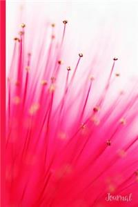Pink #11 Journal