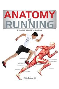 Anatomy of Running