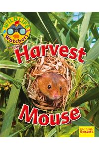 Harvest Mouse