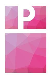 P Initial Notebook