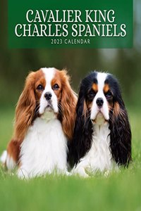 CAVALIER KING CHARLES SPANIELS 2023 SQUA