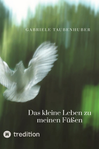 kleine Leben zu meinen Füßen