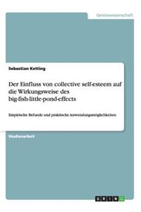 Einfluss von collective self-esteem auf die Wirkungsweise des big-fish-little-pond-effects