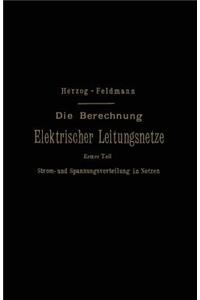 Die Berechnung Elektrischer Leitungsnetze in Theorie und Praxis