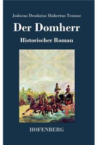 Domherr: Historischer Roman