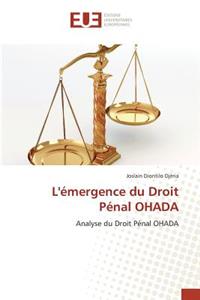 L'Émergence Du Droit Pénal Ohada