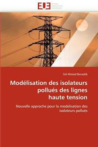 Modélisation Des Isolateurs Pollués Des Lignes Haute Tension