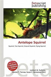 Antelope Squirrel