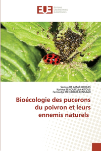 Bioécologie des pucerons du poivron et leurs ennemis naturels