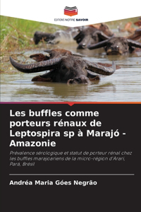 Les buffles comme porteurs rénaux de Leptospira sp à Marajó - Amazonie