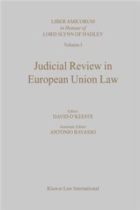 Judicial Review in European Union Law