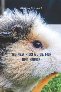 Guinea Pigs Guide for Beginners